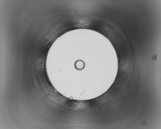 X0000115420370200911171428