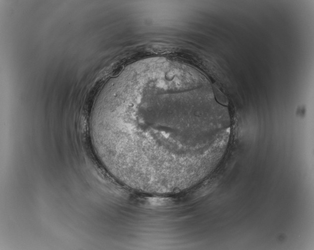 X0000115420371200911171428