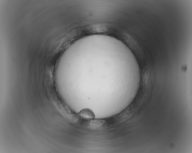 X0000115420373200911171428