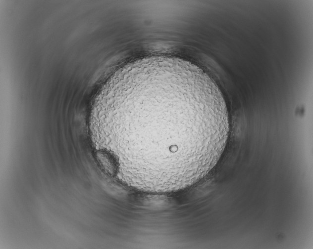 X0000115420377200911171428