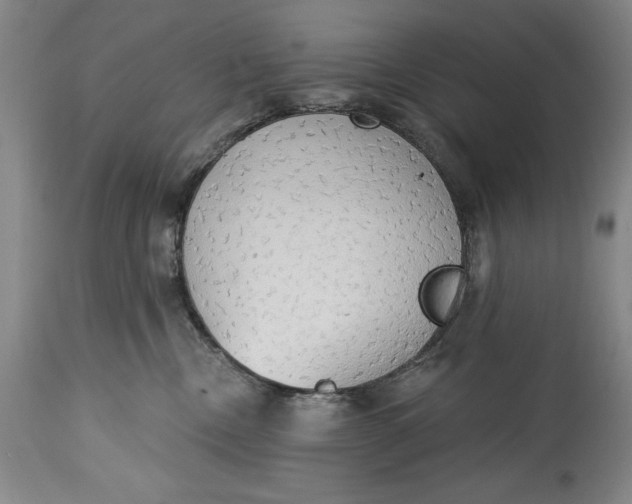 X0000115420378200911171428