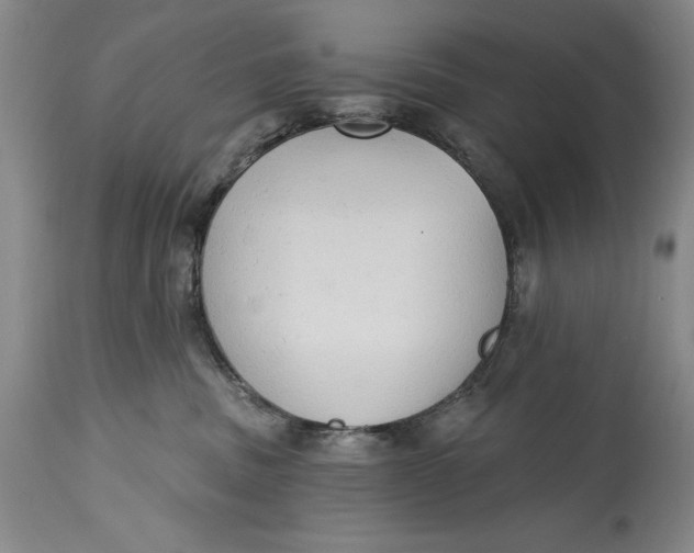 X0000115420379200911171428