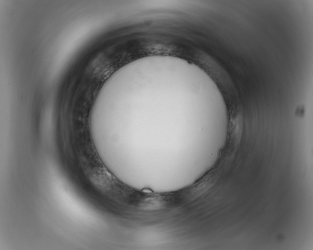 X0000115420381200911171428