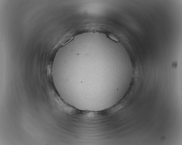 X0000115420382200911171428