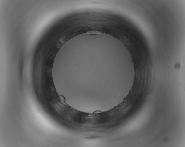 X0000115420383200911171428