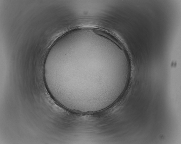 X0000115420385200911171428