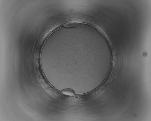 X0000115420386200911171428