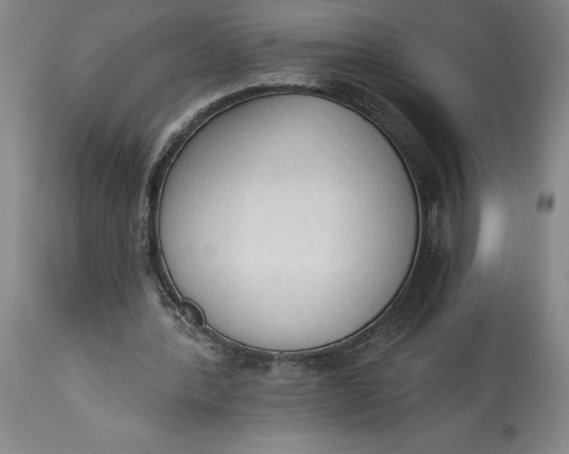 X0000115420388200911171428