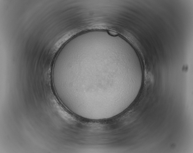 X0000115420389200911171428