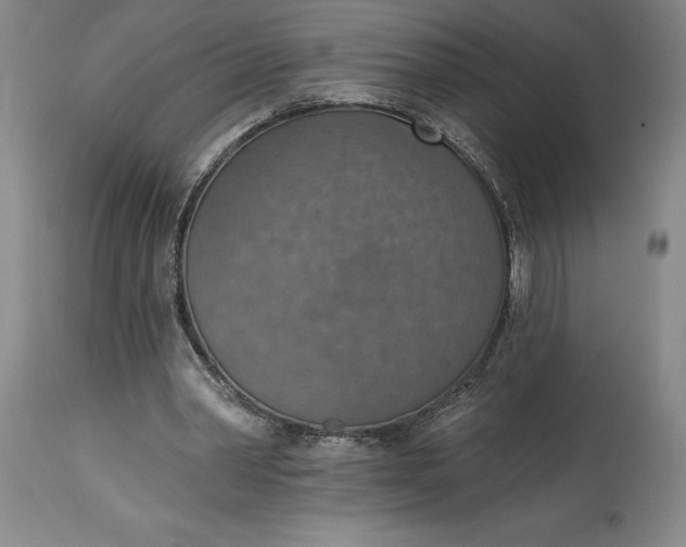 X0000115420390200911171428