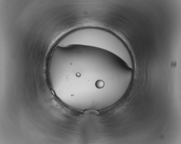 X0000115420391200911171428