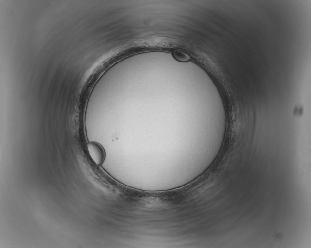 X0000115420392200911171428