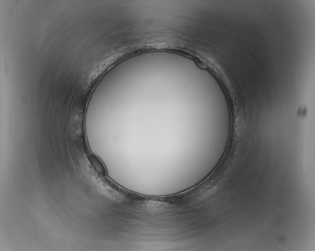 X0000115420393200911171428