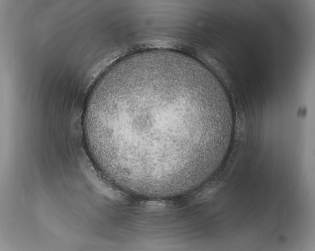 X0000115420394200911171428