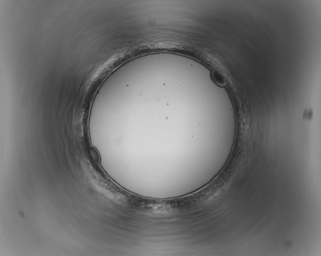 X0000115420395200911171428