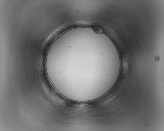 X0000115420396200911171428