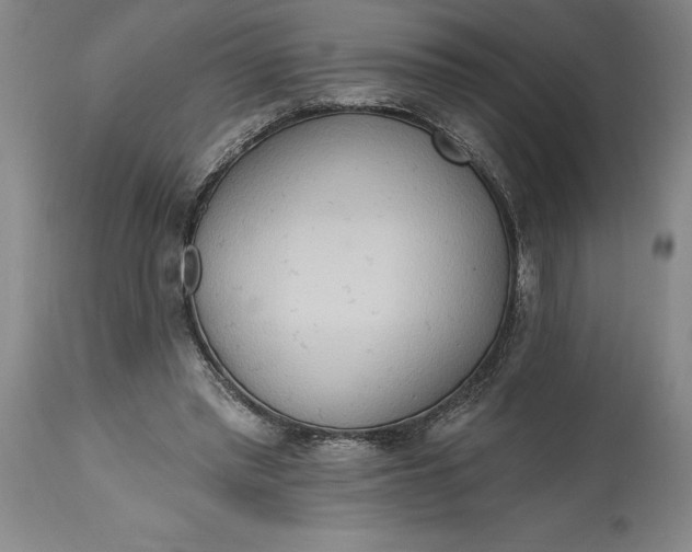 X0000115420397200911171428