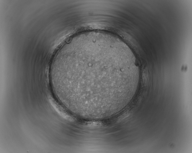 X0000115420398200911171428