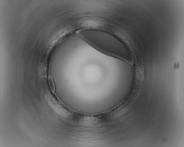 X0000115420399200911171428