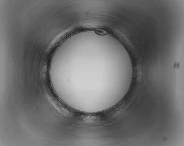 X0000115420400200911171428