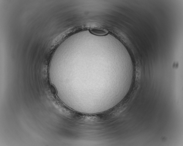 X0000115420401200911171428