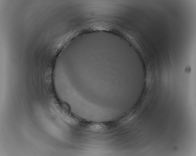 X0000115420402200911171428