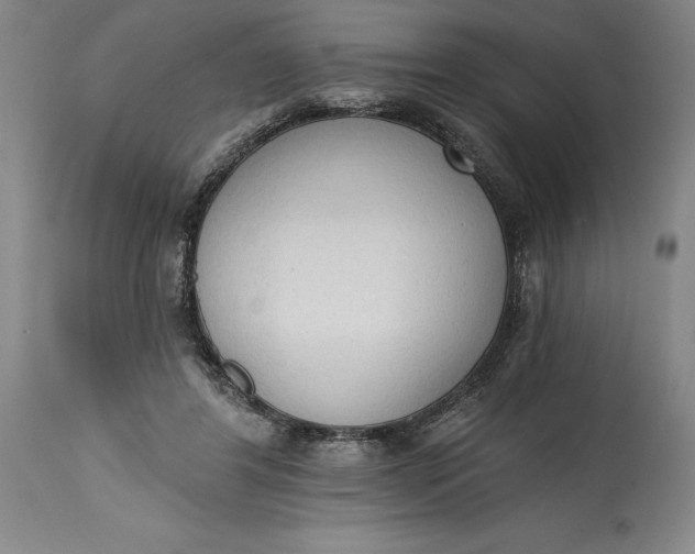 X0000115420404200911171427