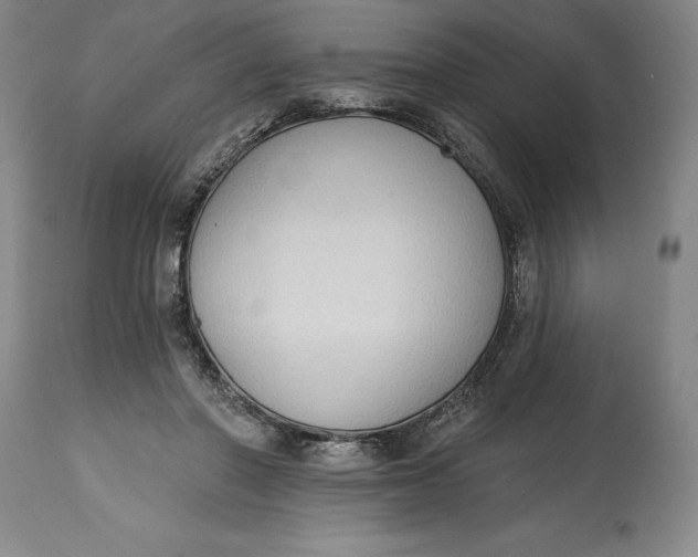 X0000115420406200911171427