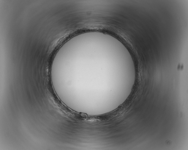 X0000115420407200911171427