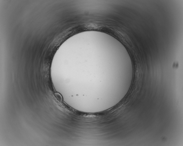 X0000115420409200911171427