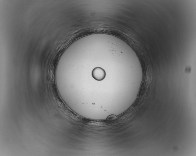 X0000115420417200911171427