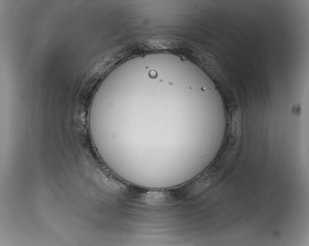 X0000115420418200911171427