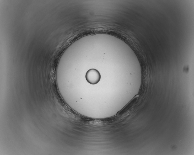 X0000115420419200911171427