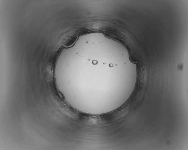 X0000115420420200911171427