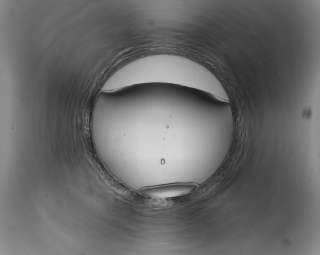 X0000115420421200911171427