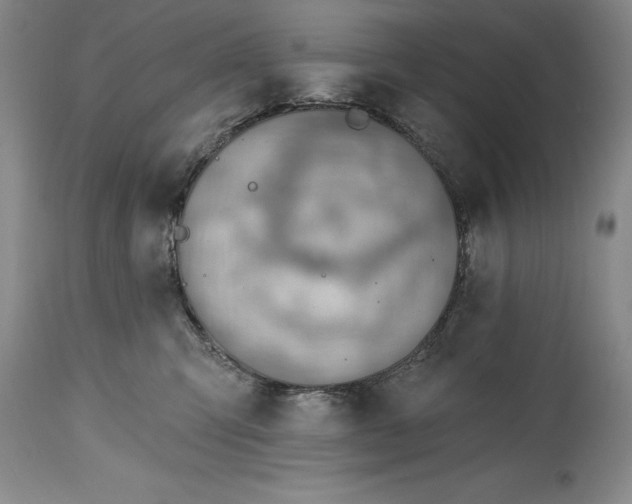 X0000115420423200911171427