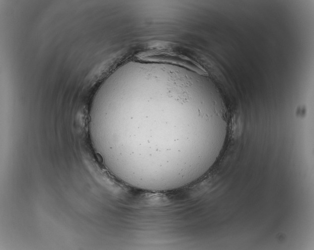 X0000115420424200911171427