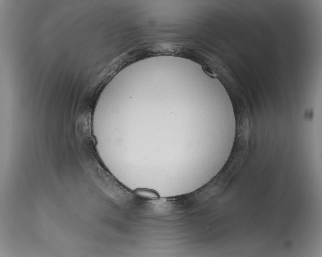 X0000115420425200911171427