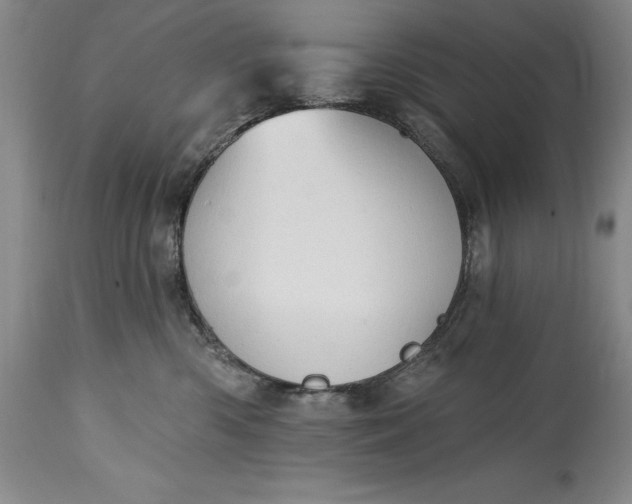 X0000115420426200911171427