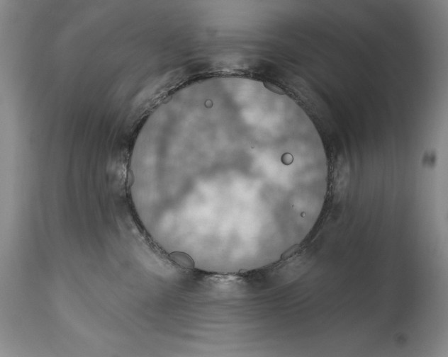 X0000115420427200911171427