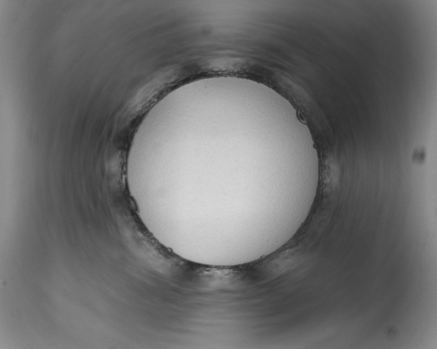 X0000115420428200911171427