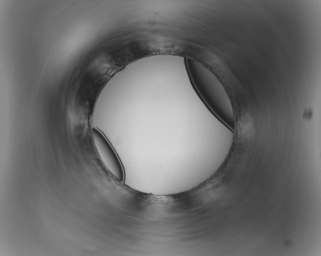 X0000115420429200911171427