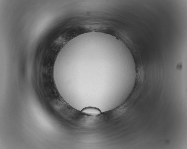 X0000115420430200911171427