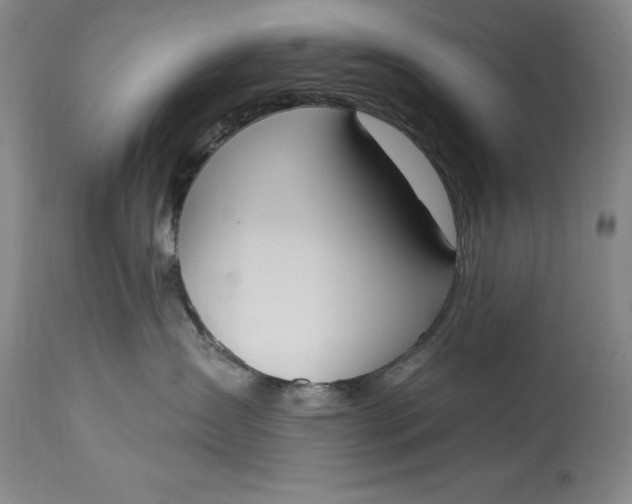 X0000115420431200911171427