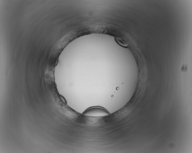 X0000115420432200911171427