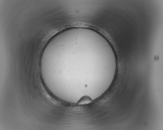 X0000115420433200911171426