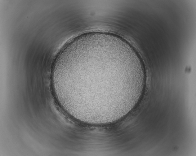 X0000115420434200911171426