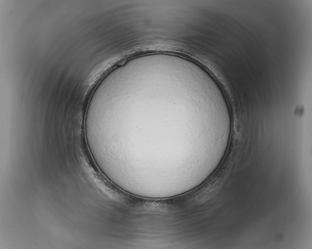 X0000115420437200911171426