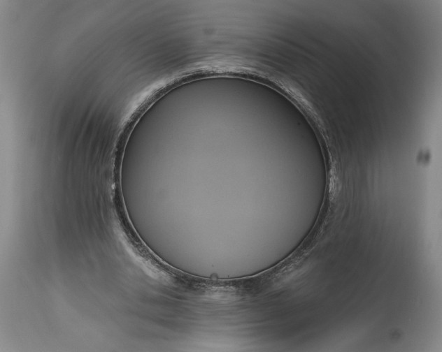 X0000115420438200911171427