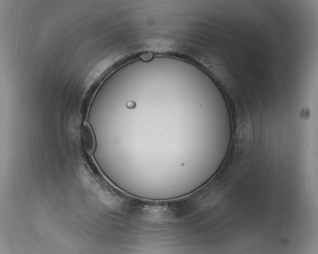 X0000115420440200911171427